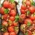 Fuji Food Photography 101 | UK_Ania_Elias_XH2_Food_01.jpg